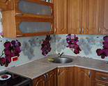 оригинальный кухонный фартук на кухне из стекла с фотопечатью "Орхидеи" (оригинальное фото)